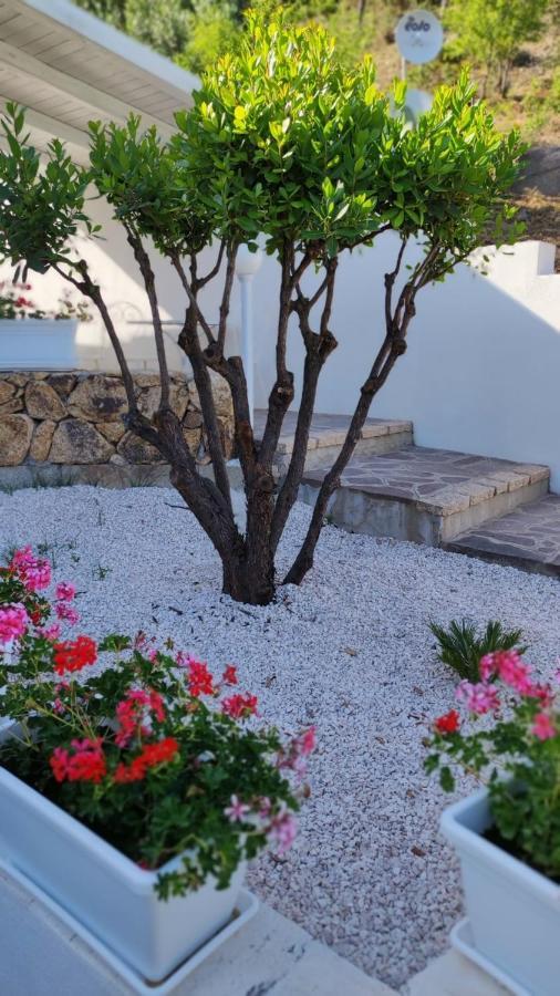 Casa L'Ulivariu Affittacamere San Teodoro  Exterior photo