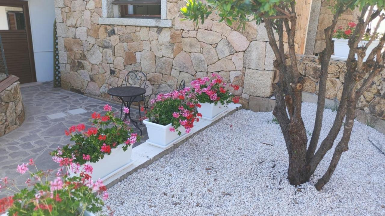 Casa L'Ulivariu Affittacamere San Teodoro  Exterior photo