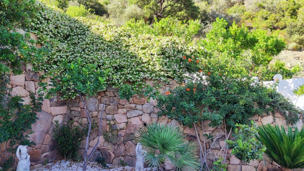 Casa L'Ulivariu Affittacamere San Teodoro  Exterior photo