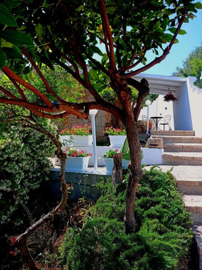 Casa L'Ulivariu Affittacamere San Teodoro  Exterior photo