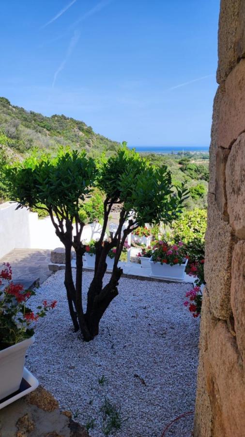 Casa L'Ulivariu Affittacamere San Teodoro  Exterior photo